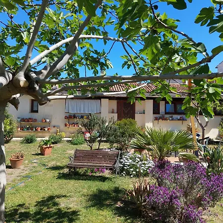Guest house Garden *